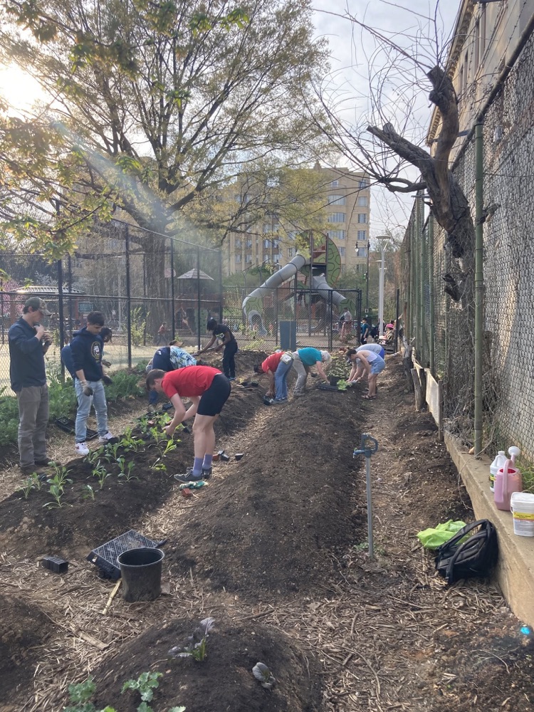 Neighbors planting together at a community garden